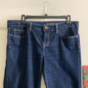 GAP Premium Skinny Jeans